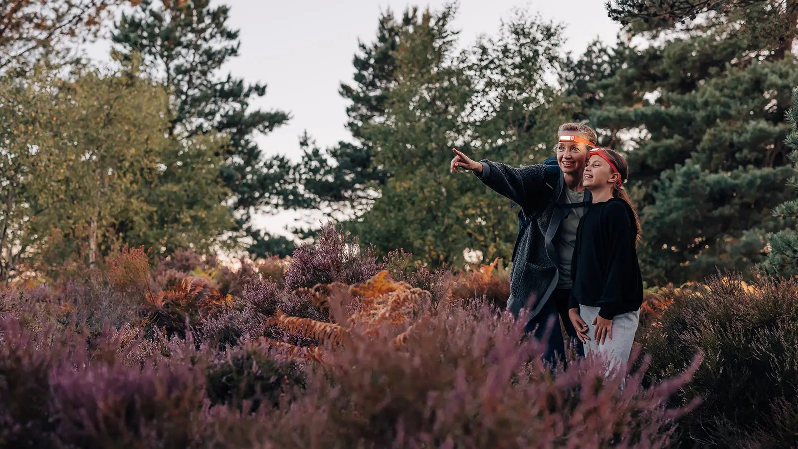 Family Camping SCOUTLITE