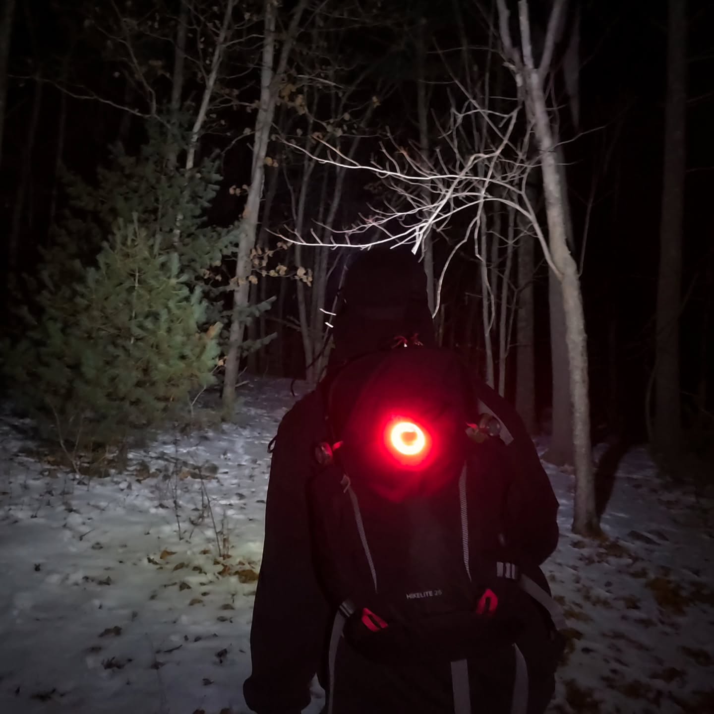 Surveying the dark with Scout O