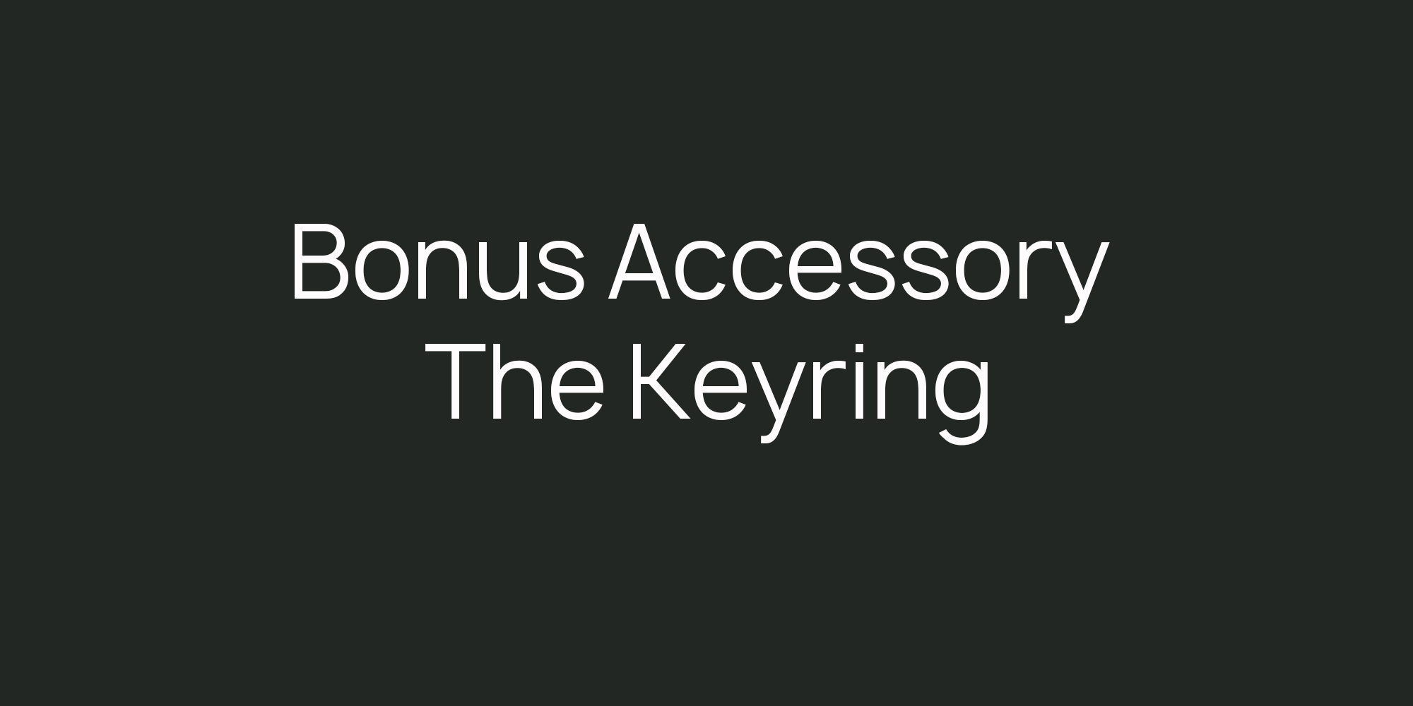 bonus accessory the keyring