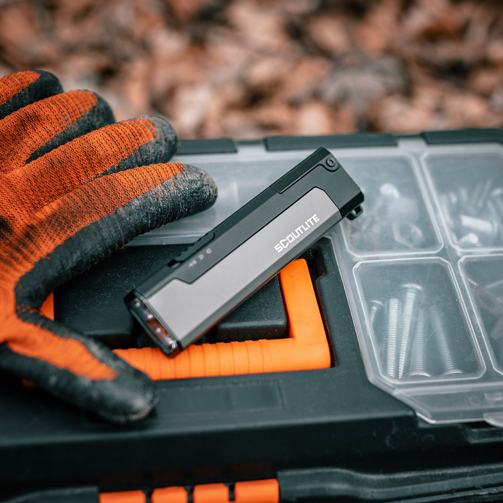 Vario GB 2000: Pocket-Sized, Power House