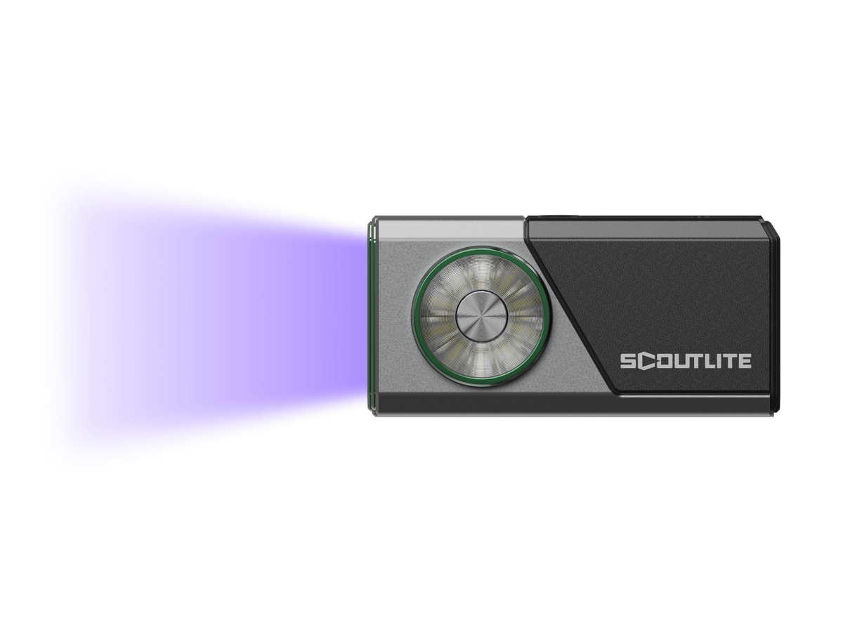 UV Inspection Light