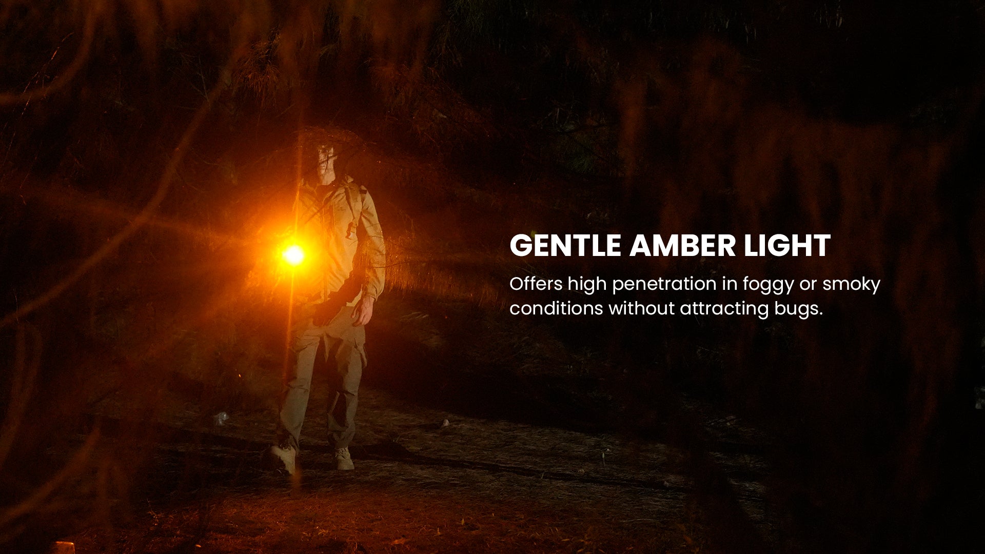 Gentle amber light with high penetration in fog without attracting bugs