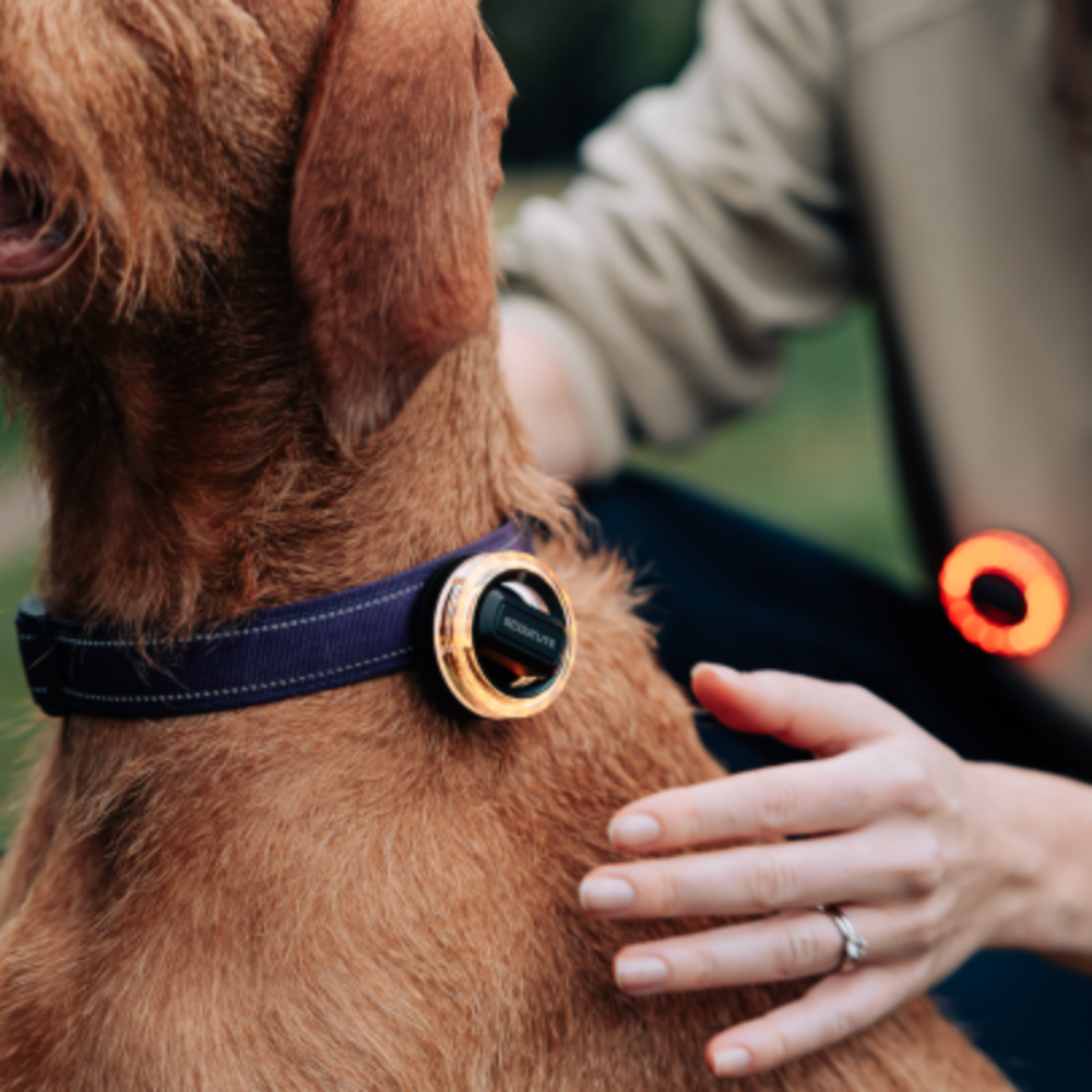 BlinkO: the Ultimate Wearable Outdoor Safety Light