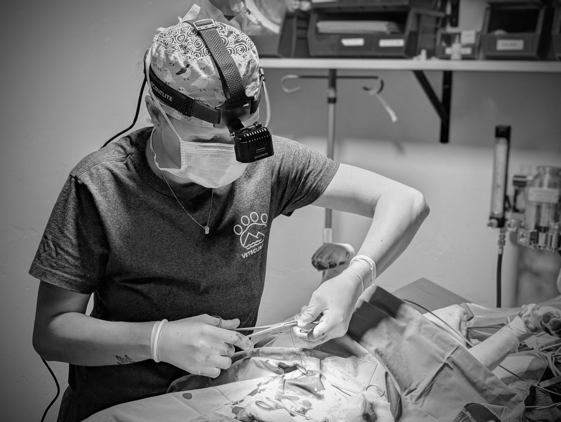 Vet suturing during a Vetscursions clinic