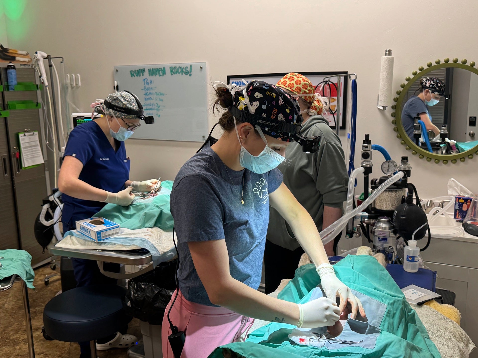 The Vetscursions team during the May clinic