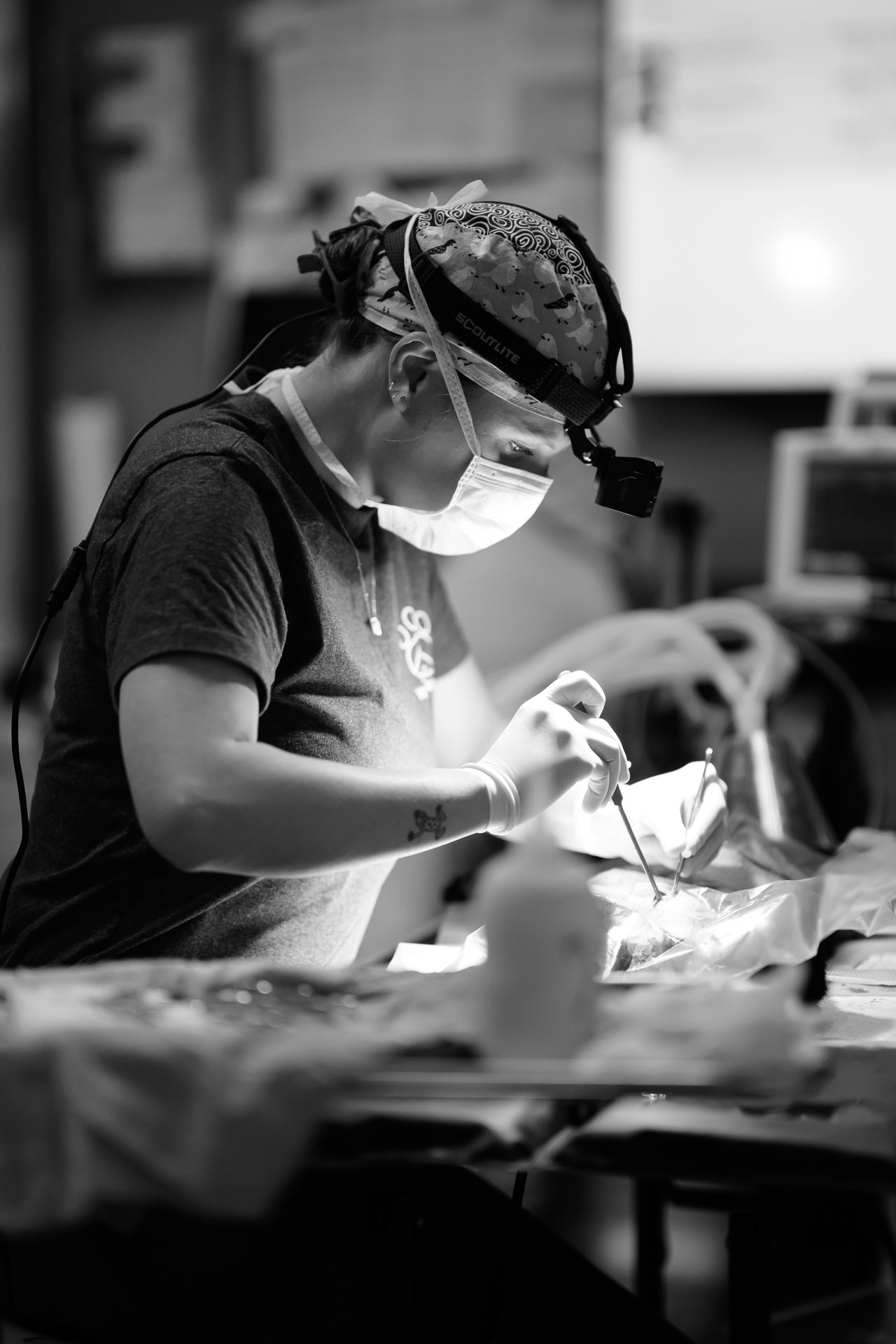 Veterinarian wearing a Scoutlite headlamp during surgery