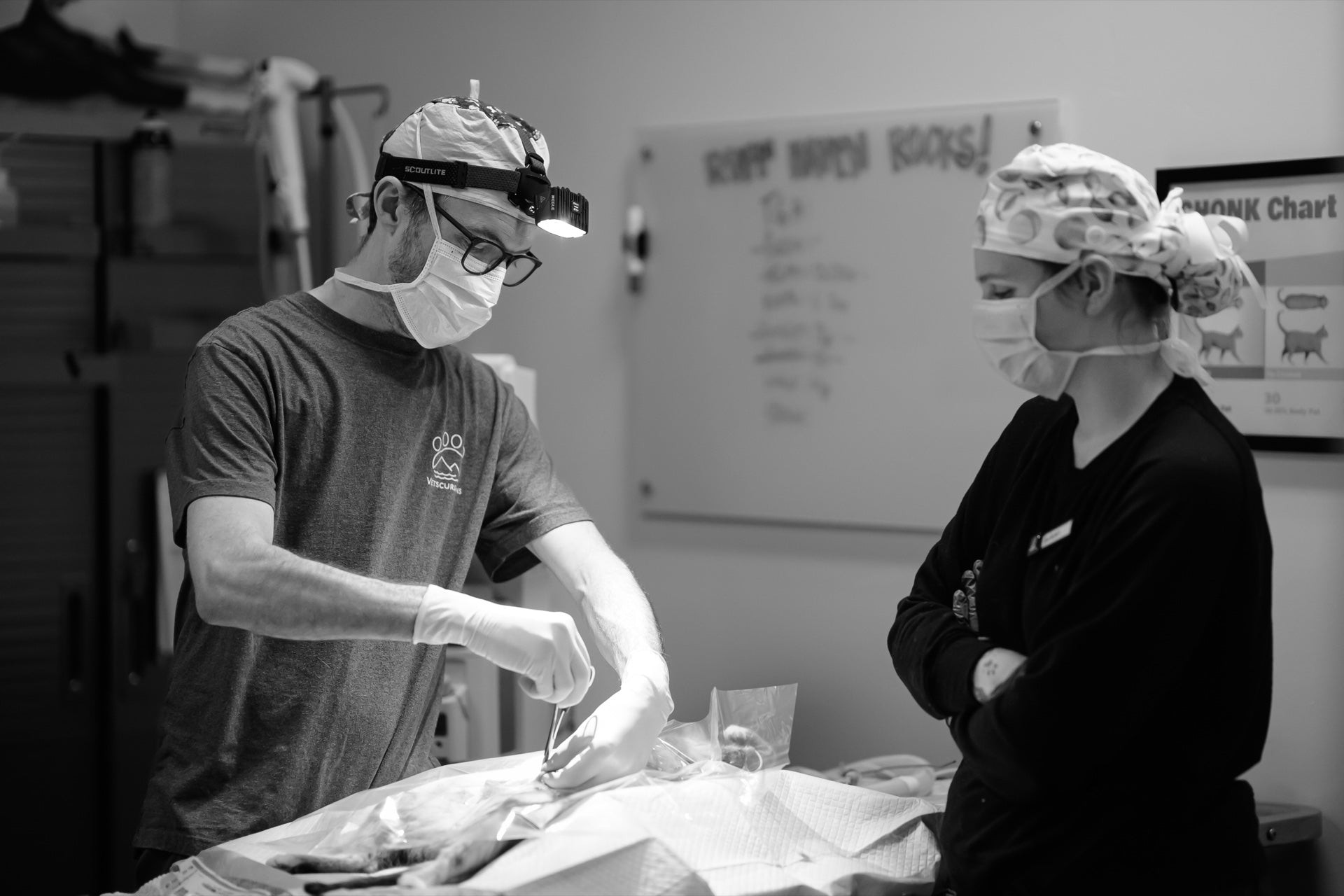 The Vetscursions founders performing surgery